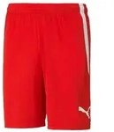 Puma teamLIGA Shorts Herren - rot - S