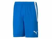 Puma teamLIGA Shorts Herren - blau-S