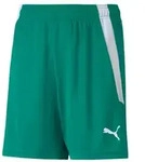 Puma teamLIGA Shorts Kinder - gr&uuml;n 116