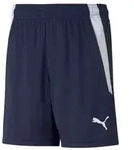 Puma teamLIGA Shorts Kinder - navy - 116
