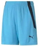 Puma teamLIGA Shorts Kinder - blau/schwarz - 116