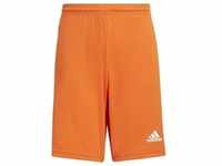 adidas Squadra 21 Shorts Kinder - orange 116
