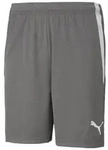 Puma teamLIGA Shorts Herren - grau - S