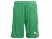 adidas Squadra 21 Shorts Kinder - grün/weiß 140