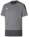 Puma teamGOAL 23 Trikot Kinder - grau -116