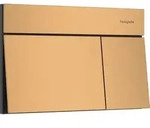 hansgrohe iFrame Element E Bet&auml;tigungsplatte f&uuml;r 2-Mengen-Sp&uuml;lung, 66003140,