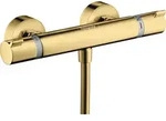 hansgrohe Ecostat Brausethermostat Comfort Aufputz, 13116990, Farbe: Polished...