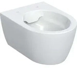 Geberit iCon Wand-WC Tiefsp&uuml;ler, sp&uuml;lrandlos, verk&uuml;rzte Ausladung, 502.380.00.1,