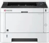Kyocera 1102RX3NL0, Kyocera ECOSYS P2040dn - Drucker - s/w - Duplex