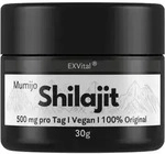Mumijo Shilajit 85+ von EXVital