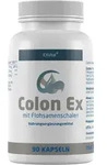 Colon Ex mit Flohsamenschalen und Magnesium von EXVital, 90 Kapseln