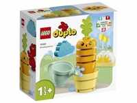 LEGO 10981, LEGO DUPLO 10981 Wachsende Karotte