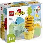 LEGO&reg; DUPLO&reg; 10981 Wachsende Karotte