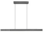 Neuhaus PURE LED-Pendelleuchte Pure-Moto-Rise Metall Grau 200 cm