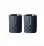 Nachtmann Whiskybecher Noblesse 2tlg. Glas Schwarz