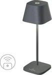 Villeroy & Boch Akku-Tischleuchte Grau Neapel Micro RC