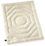 billerbeck Ganzjahresbettdecke Concerto Uno 135 x 200 cm Baumwolle Beige...