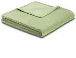 Biederlack Kuscheldecke Soft & Cover 150 x 200 cm Polyester Gr&uuml;n Mint