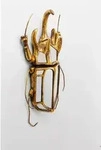 KARE DESIGN Wandobjekt Beetle 51221 Spiegel Gold