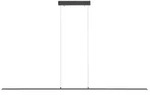 Neuhaus PURE LED-Pendelleuchte Pure Lite Alu, Eisen, Stahl & Metall Grau...