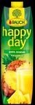 Rauch Happy Day Ananassaft 1l