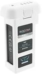 Platinum Akku f&uuml;r DJI Phantom 2 und Vision