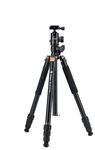 X Go HR PRO Chameleon Stativ von Fotopro