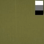 Stoffhintergrund Kaktus 2,85 x 6 m
