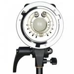 Godox D173011, Godox MS300 F Kit - Studioblitz-Set mit 300 Ws Leistung