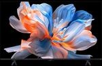 Xiaomi TV FX Mini LED 43 2026