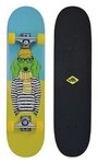 Schildkr&ouml;t Skateboard "Kicker 31"