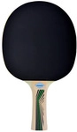 Donic Schildkr&ouml;t Tischtennisschl&auml;ger "Legends 400 FSC"