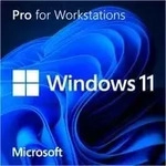 Microsoft HZV-00107, Microsoft Windows 11 Pro for Workstations 1 Lizenz(en)