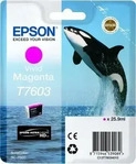 Epson C13T76034N10, Epson C13T76034N10 Druckerpatrone 1 St&uuml;ck(e) Original Lebendiges