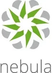 Zyxel LIC-NPRO-ZZ1Y00F Software-Lizenz/-Upgrade 1 Lizenz(en) 1 Jahr(e)