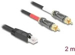 DELOCK Adapter RJ45 Stecker zu 2 x Cinch Stecker schwarz 2 m