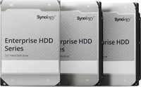 Synology HAS5300-12T, Synology HAS5300-12T Interne Festplatte 12 TB 7200 RPM...