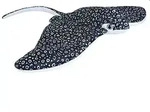 Pl&uuml;schtier von Wild Republic - Adlerrochen - 30cm