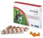 Antinol Hund 60 Kapseln