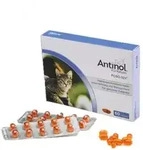 Antinol Katze 60 Kapseln