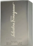 Salvatore Ferragamo Subtil Homme Eau de Toilette 100 ml, Grundpreis: &euro; 247,90 /