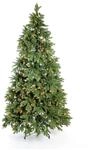 Evergreen Weihnachtsbaum Roswell Kiefer 210 cm