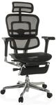 hjh OFFICE Luxus Chefsessel ERGOHUMAN PLUS LEGPRO GEN2 Netzstoff mit Armlehnen