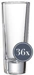 Ritzenhoff & Breker Schnapsgl&auml;ser Skol 65 ml 36er Set