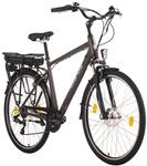 Hollandia E-Citybike Herren 28'' Hollandia Zagon Grau 6&nbsp;G&auml;nge