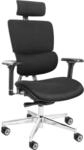 CLOUVOU MasterSeat B&uuml;rostuhl Ergonomisch &ndash; Schwarz