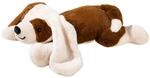 HEUNEC KUMA HUND liegend