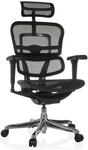hjh OFFICE Luxus Chefsessel ERGOHUMAN ULTRA GEN2 Netzstoff mit Armlehnen