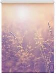 Lichtblick Rollo Klemmfix, ohne Bohren, blickdicht, Sommerabend - Orange