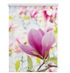 Lichtblick Rollo Klemmfix, ohne Bohren, blickdicht, Magnolie - Rosa